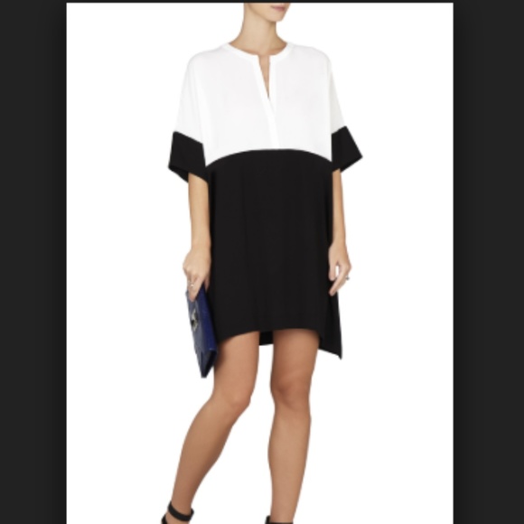 BCBGMAXAZRIA Inessa Color-Blocked Tunic Dress - Picture 2 of 4